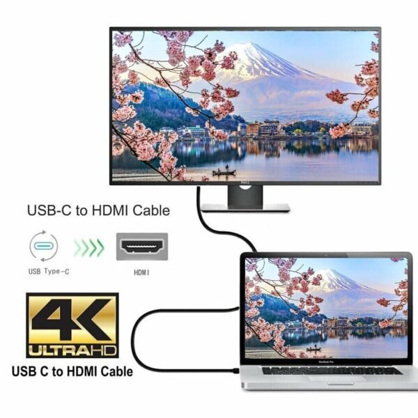 SATYAmarket USB3.1 Type C to HDMI Female Converter Cable